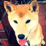 Lucky358の画像