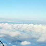 コパドンの画像