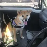 ナオト