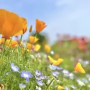 hach.の画像