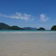 vaikaruの画像