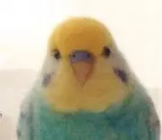 ゆっちゃん