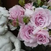 ラマリエの画像