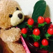 candy@断捨離中の画像