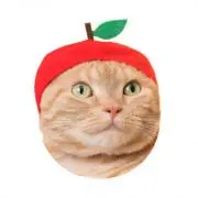 りんごちゃんの画像