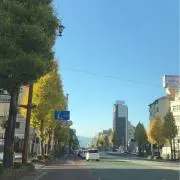 ぴーちゃんの画像