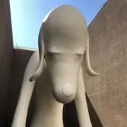 KOOの画像