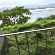 baoの画像