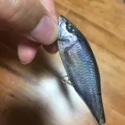 にゃふーの画像