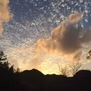 紫暮