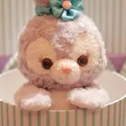 ゆぅの画像
