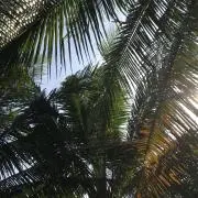 遊助の画像