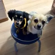 MaKoKoNaの画像