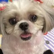 ここママ♡
