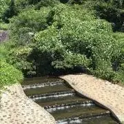 ®️®️®️の画像
