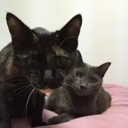 姫 胡桃 ママ