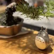 yassyの画像