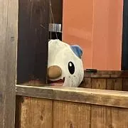 サメペンの画像