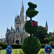 かほこの画像
