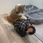 Mr.限界社畜@24h以内発送の画像