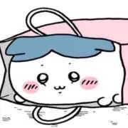 カイワレ@断捨離中！の画像