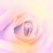 舞花ྀིの画像