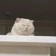 みの画像
