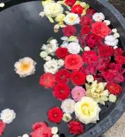 あゆみ