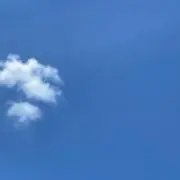 くもの画像