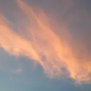 プロフ必須！