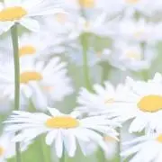 こうちゃんママ