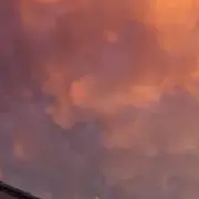 asariの画像
