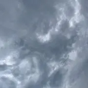 S.Y