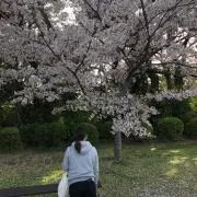 よっしー