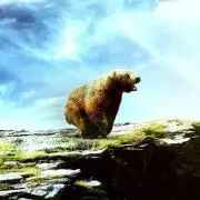 いーたの画像