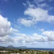 teaの画像