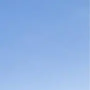 bobiの画像