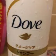 ダヴゥ