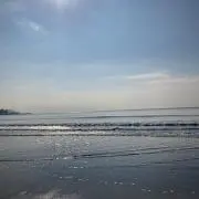 uniの画像
