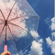 笹