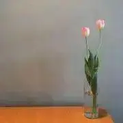 yuの画像