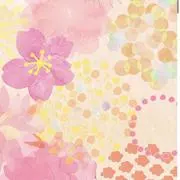 ラピン☆の画像