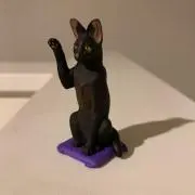 443の画像