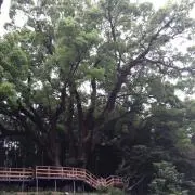 ★★SAEM★★の画像