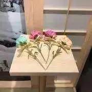 mocaの画像