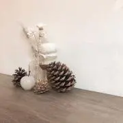 Fuの画像