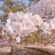 imの画像
