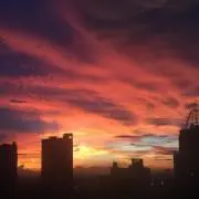 セシリアの画像