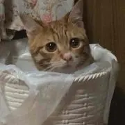 ♡U-ki♡
