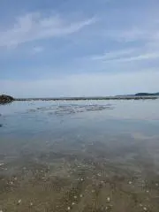 はなるの画像